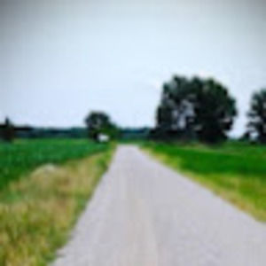 Meet your Posher, Elise